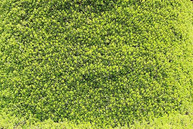 漫威新片《美国队长4》宣布引进 档期待定